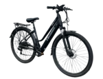 Troy e-bike.