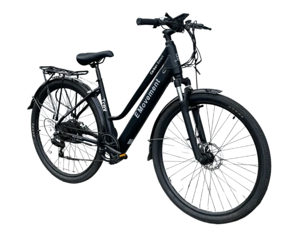 Category Pages Troy e-bike.