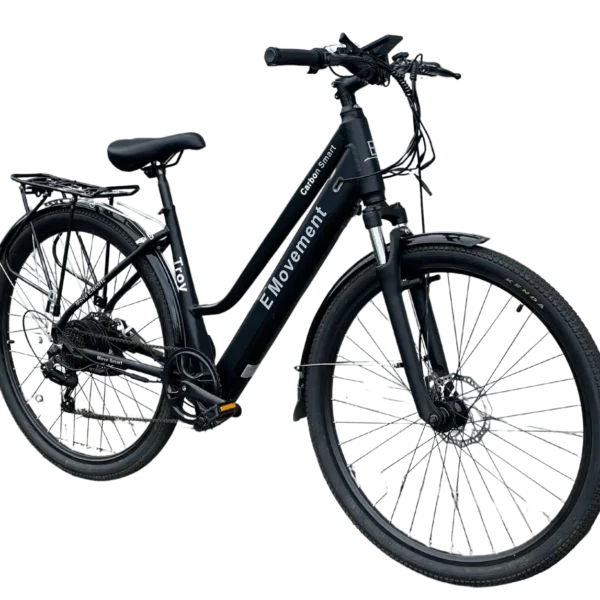 Troy e-bike.