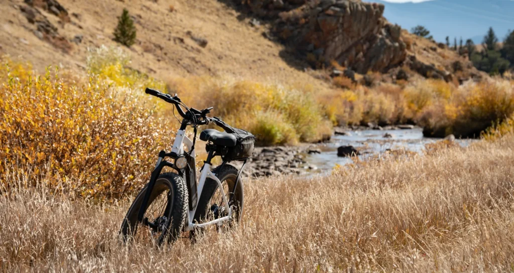 image of e-bike white in color