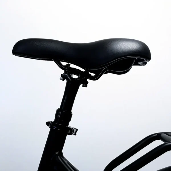 Aries and Raven 19 electric bike seat