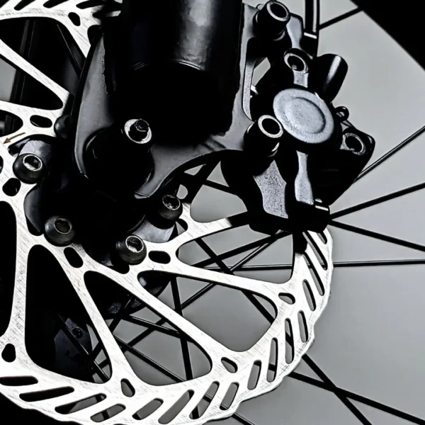 Aries and Raven 9 spokes of an ebike wheel