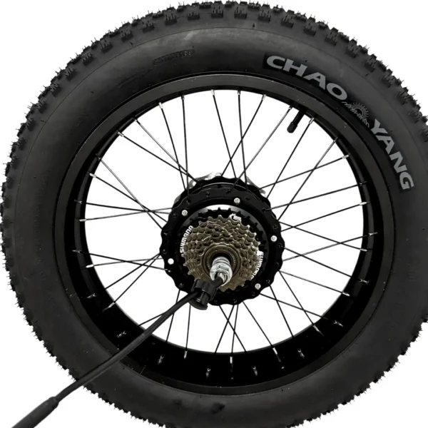 10 tyre of e-bike