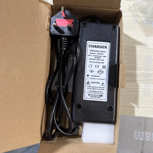 charger of electric bike