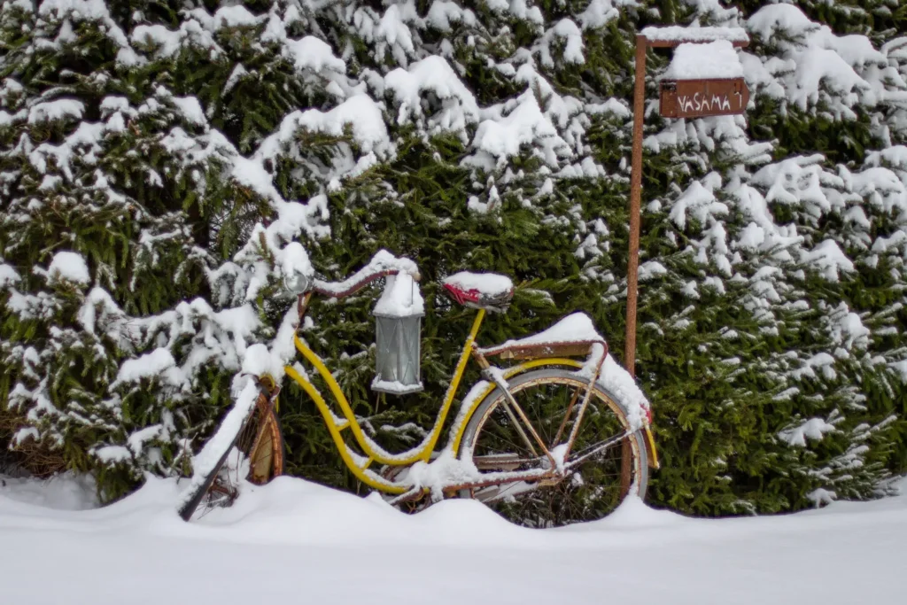 step-through ebike in winter