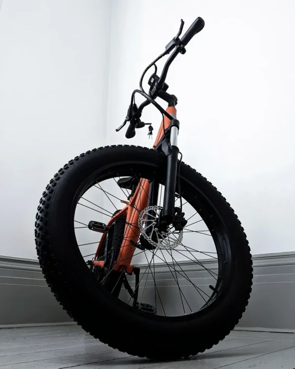 Thunder v4.2 eMTB - Image 6