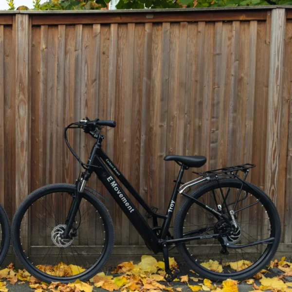 Troy City E-bike - Image 3