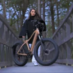 Thunder v4.2 eMTB - Image 2