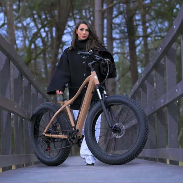 Thunder v4.2 eMTB - Image 2