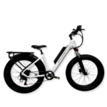 Aries eMTB - Image 12